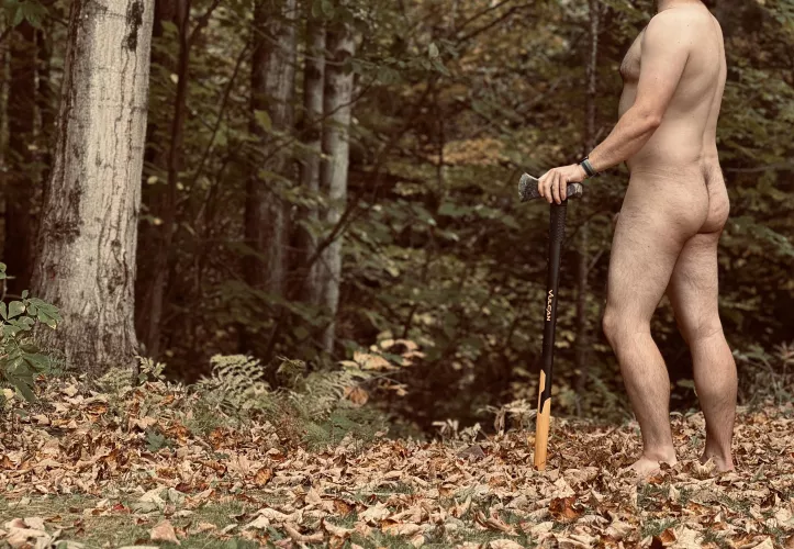 [37] Looking for something to split. If you catch my drift.