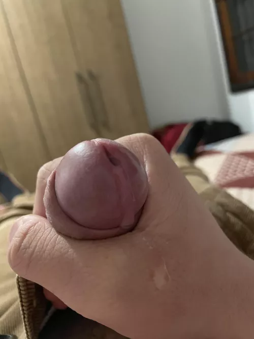 5 days since I last came