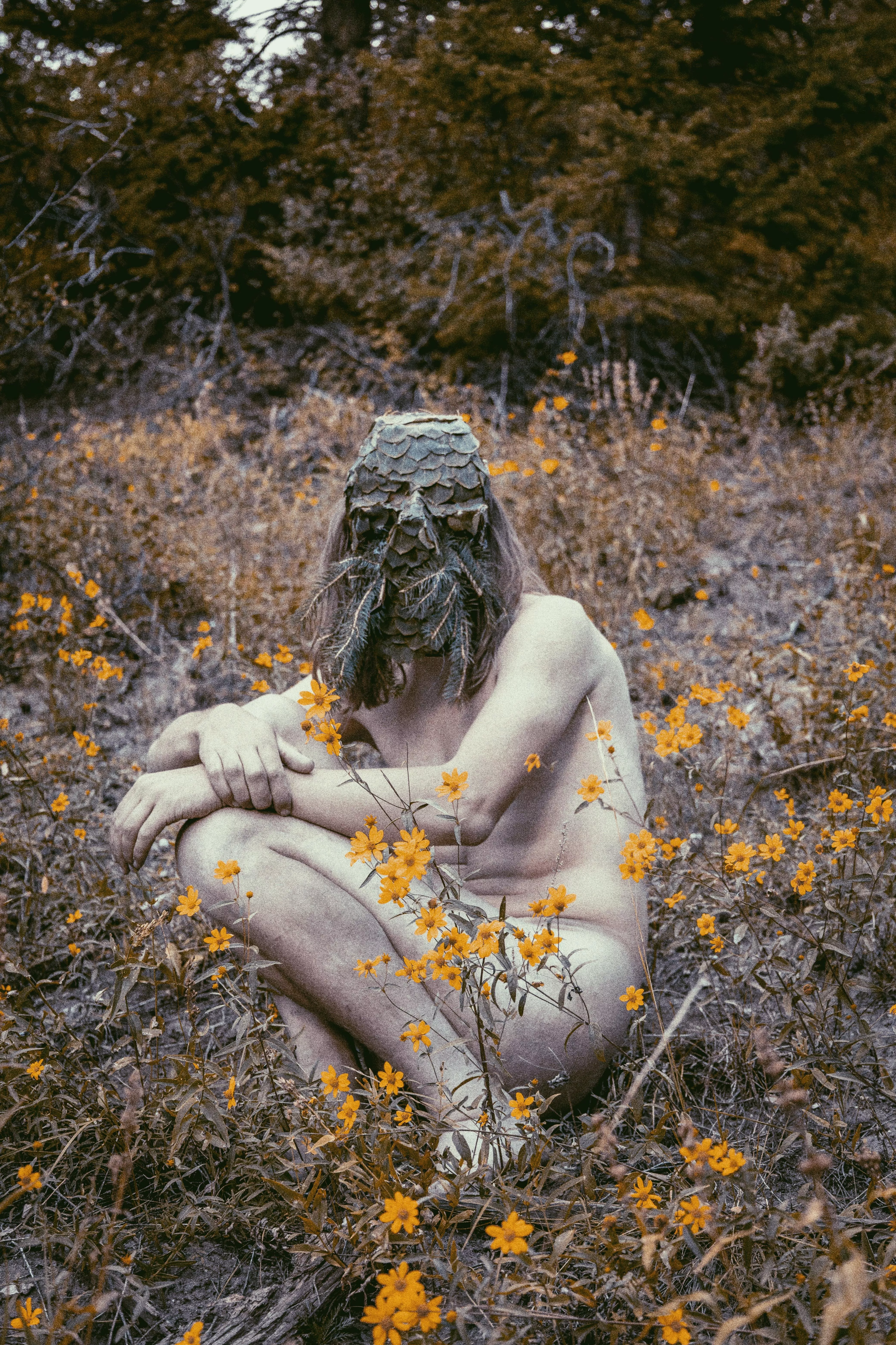 Among the fall flowers.