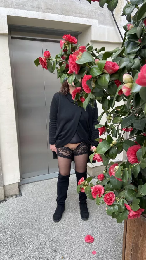 (F54) I still don't know whether there is video surveillance in my company...