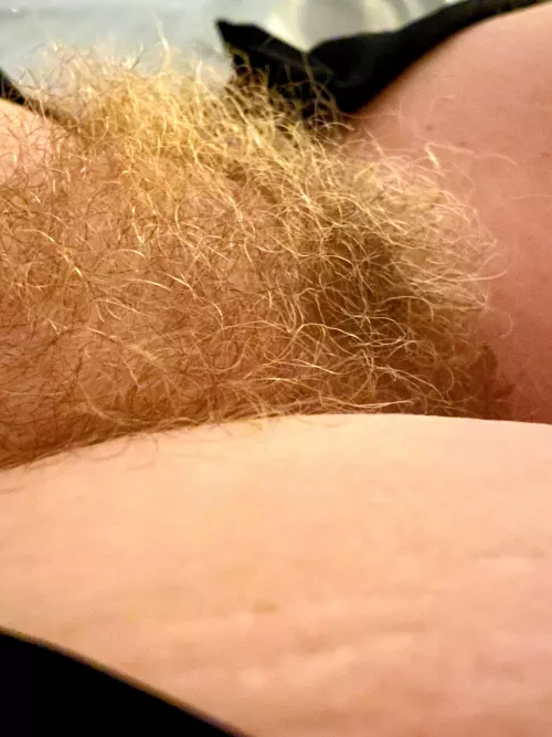 It’s every bit as soft as it looks. Thoughts?