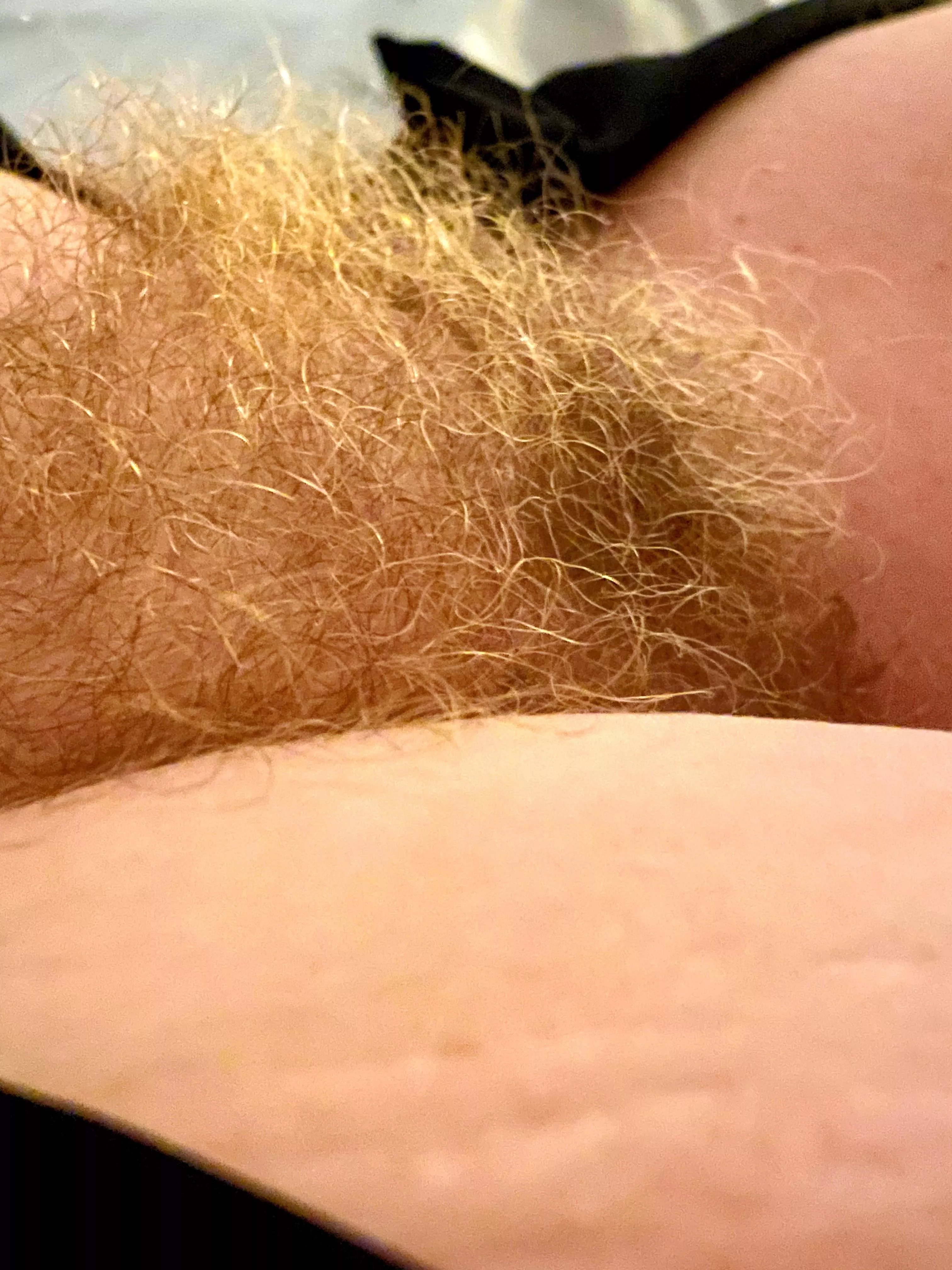 It’s every bit as soft as it looks. Thoughts?