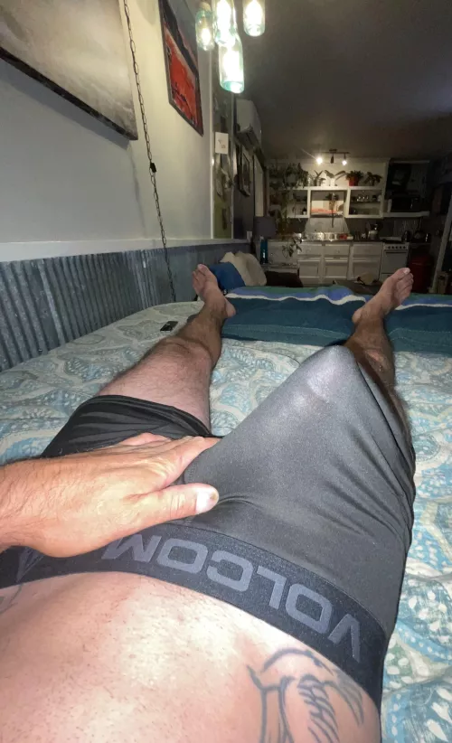 Just a little morning wood for you all!