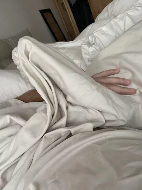 Morning wood behind the sheets