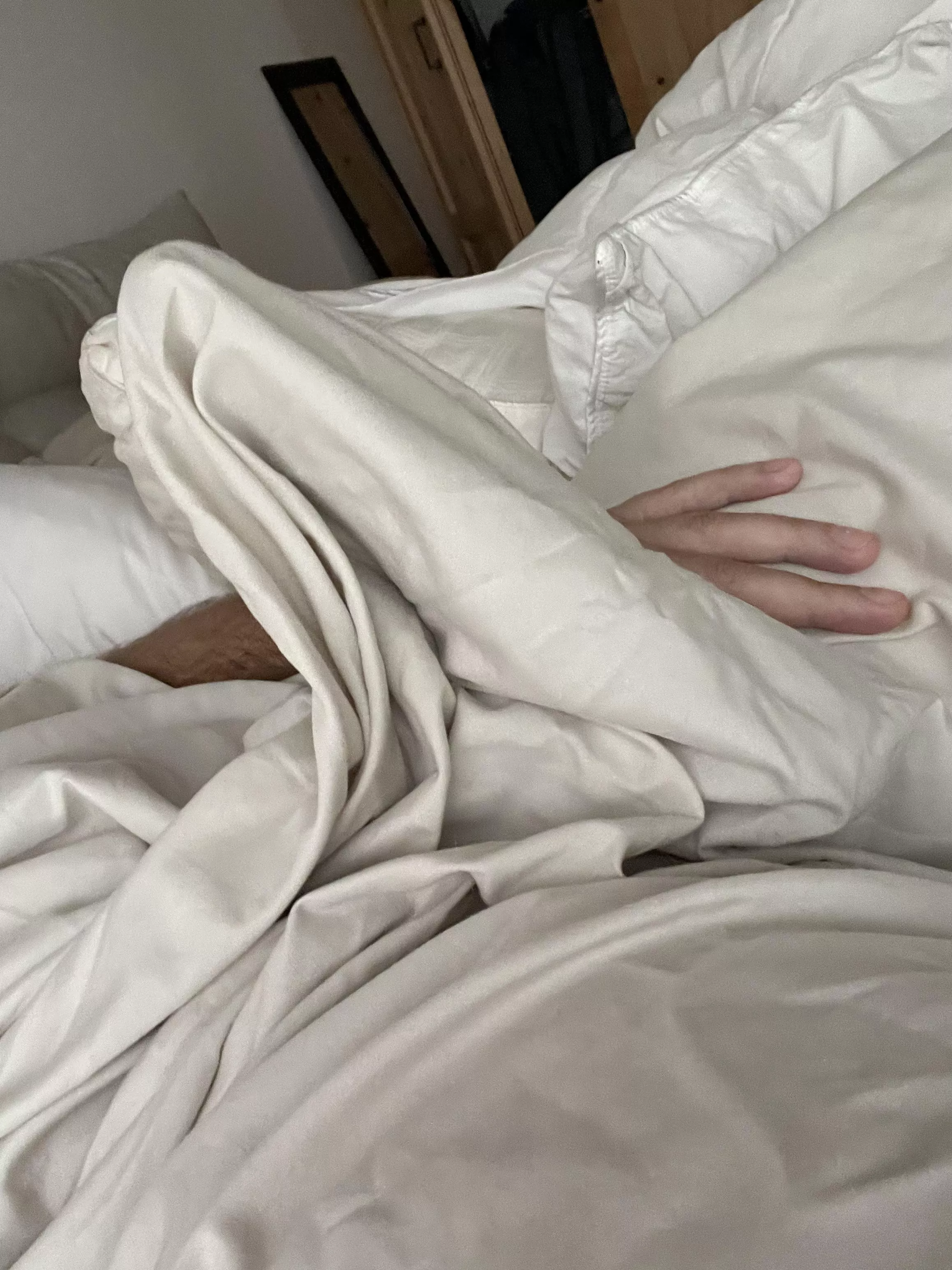 Morning wood behind the sheets