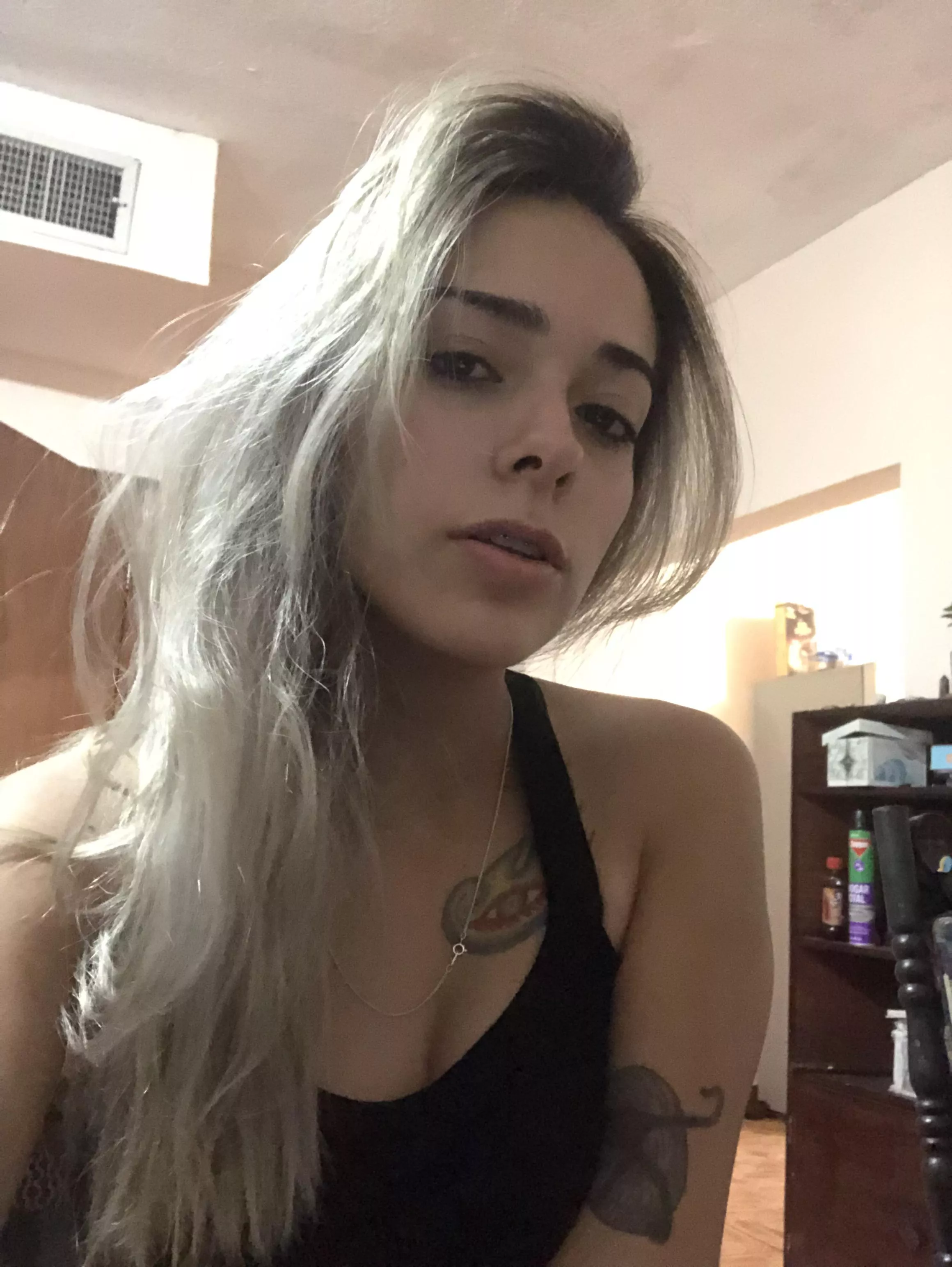 Regular boring night