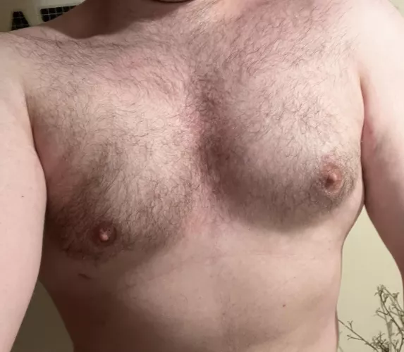 Slowly but surely the chest is coming along