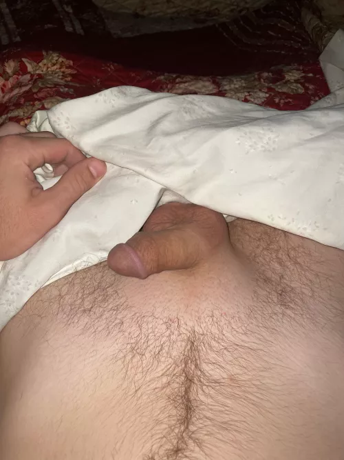 18M/ looking to send pics of my barely legal soft cock/ Amosc: shhhburn