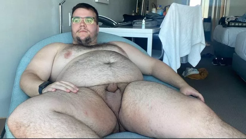 Chubby bear lounging