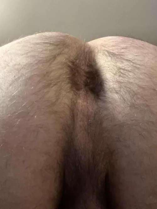 Don’t mind the fur