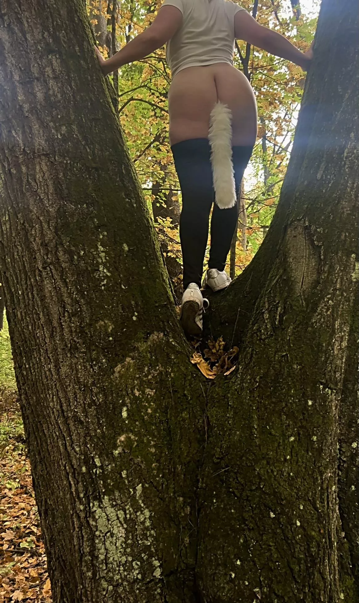 Got let off my leash...