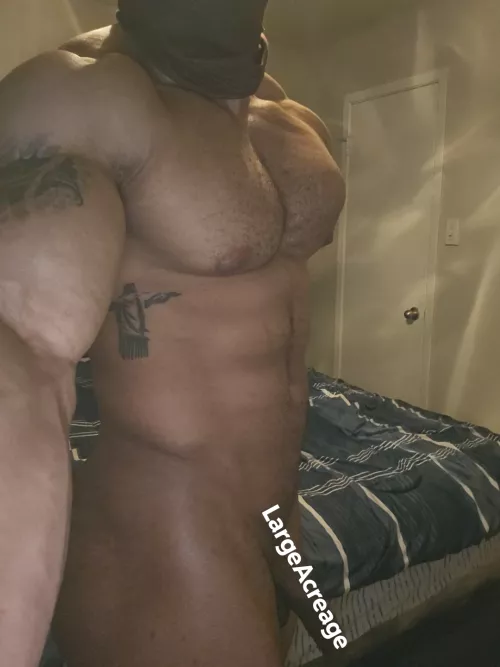 I'll make you submit