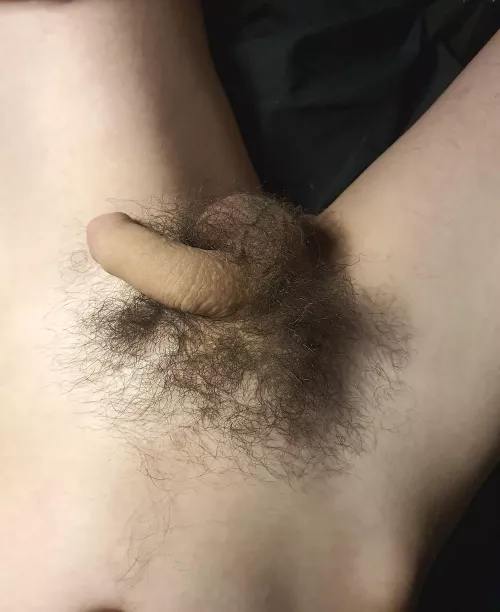 it gets bigger, i promise