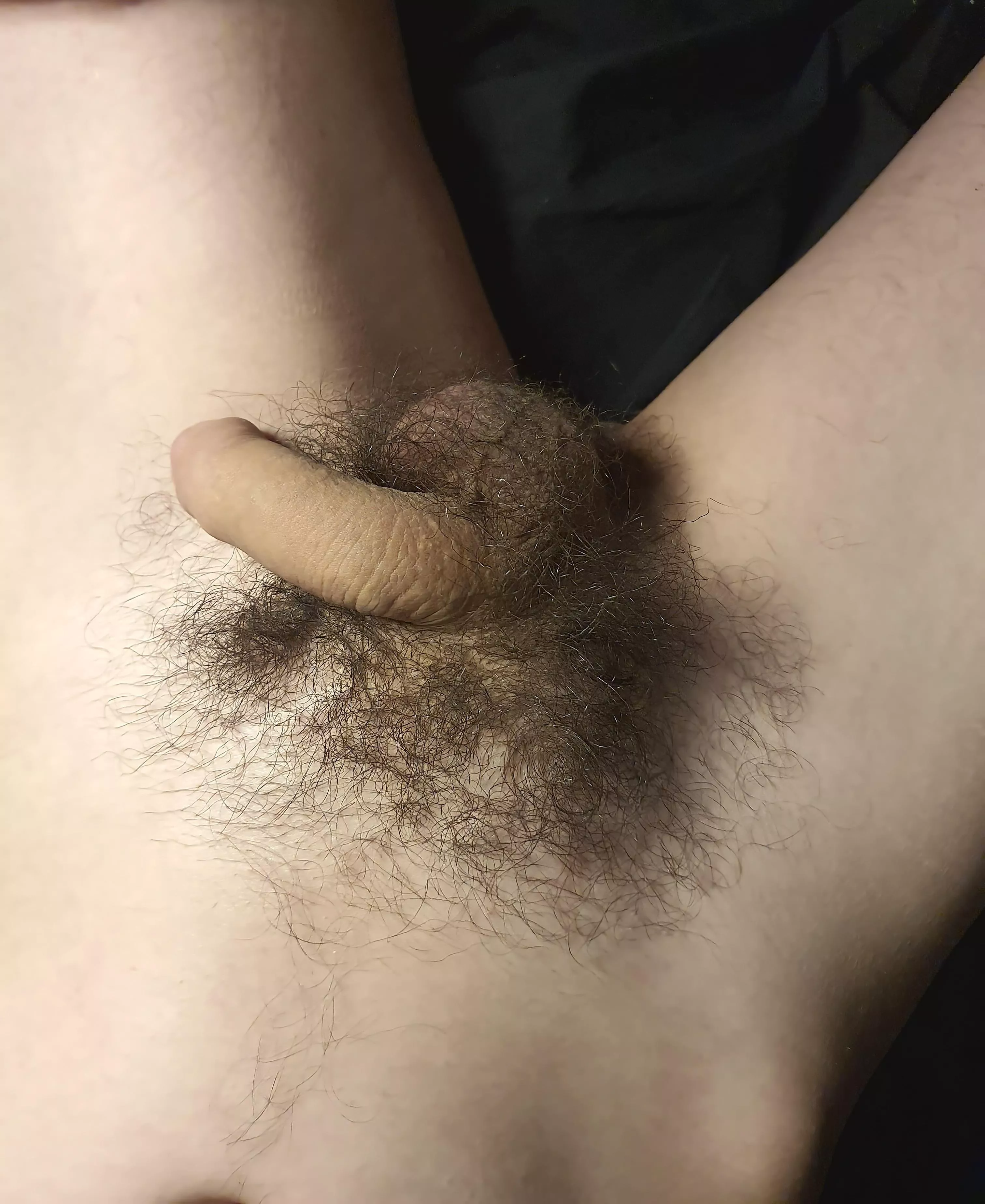 it gets bigger, i promise