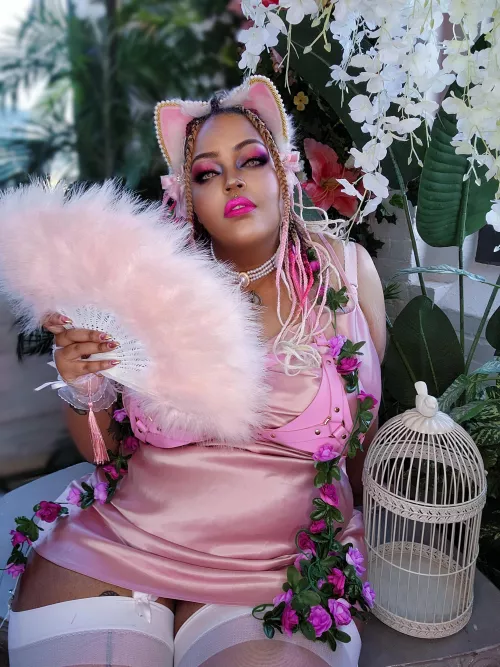 Mew cat on the block =^.^=