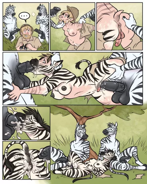 Observing Mating Ritual [bubbeh, M-F Zebra]