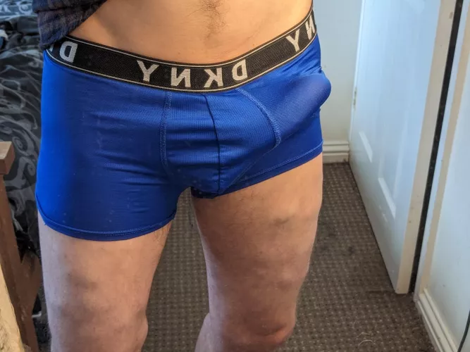 Should I let him out?