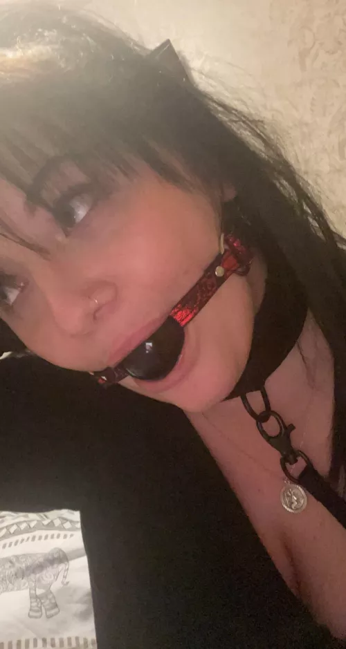 sometimes us bad girls have to be gagged🫢