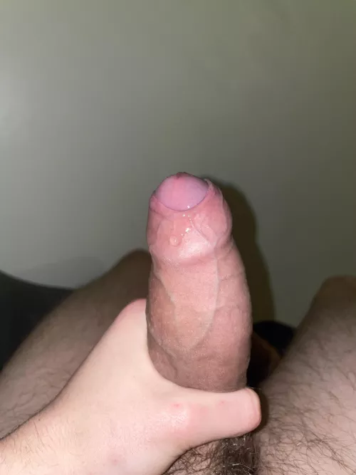 Thoughts on my leaking cock?