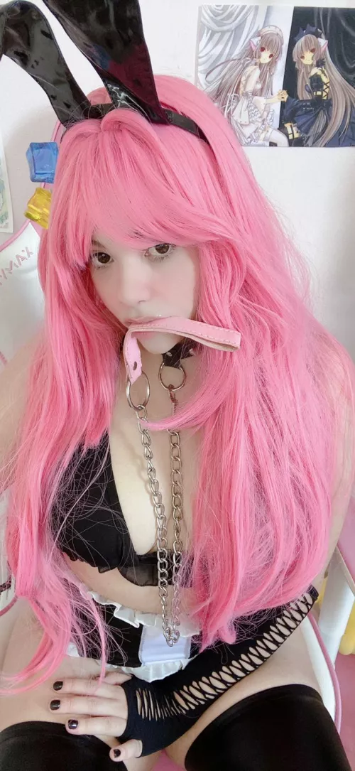 Walkies with bunnie?