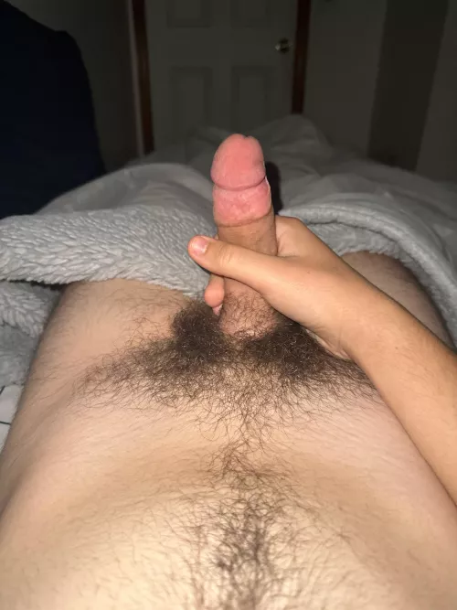19m is my teen penis hairy enough? dm me?