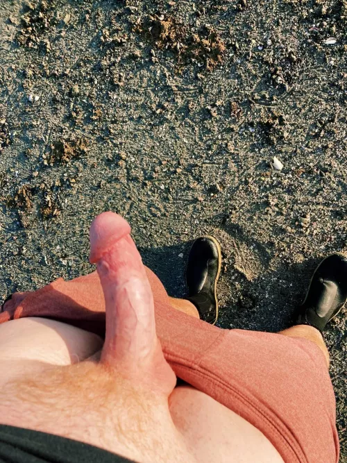 Cut Beach Cock