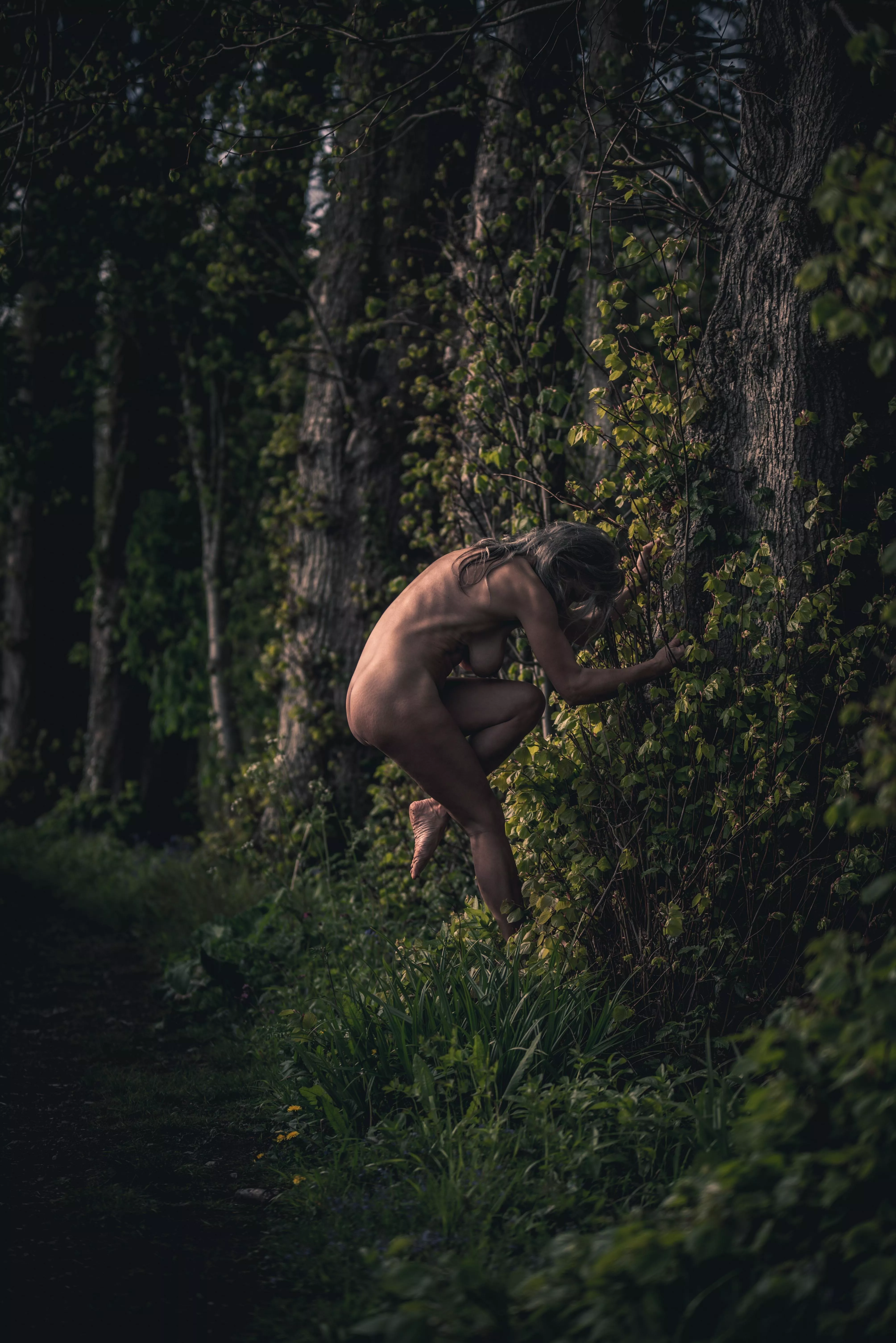 Evening light hugging trees