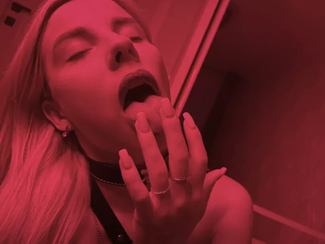 I hope my collar doesn’t intimidate you