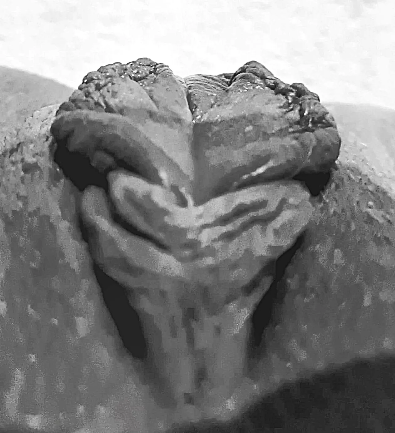 Im so Horny right now...