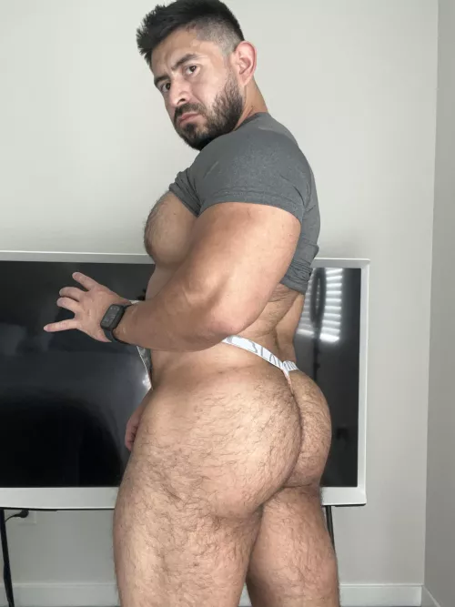 Misbehave and your face will end up between these hairy cheeks. 😏