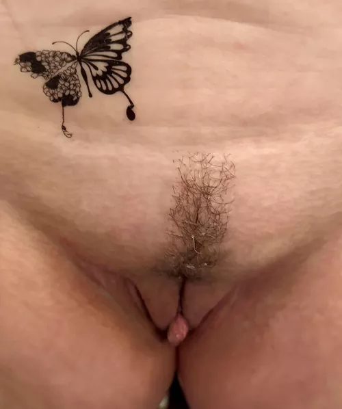 My two little butterflies