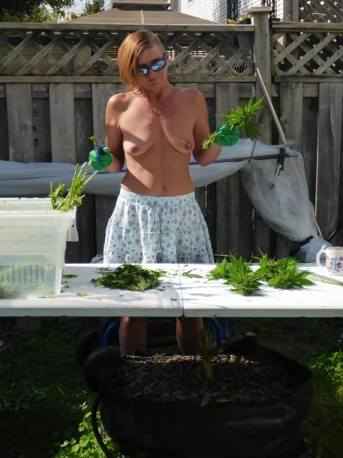 Slave to the Scissors (f)