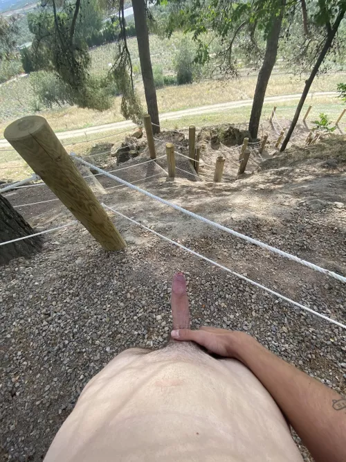 That was a good trail