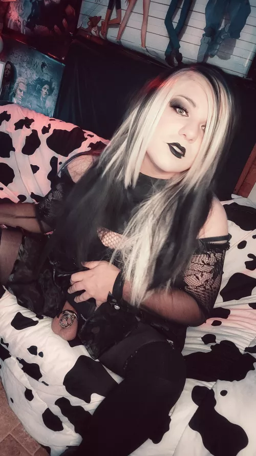 Thinking about trying an inverted cage. I've had this one for forever and need a change