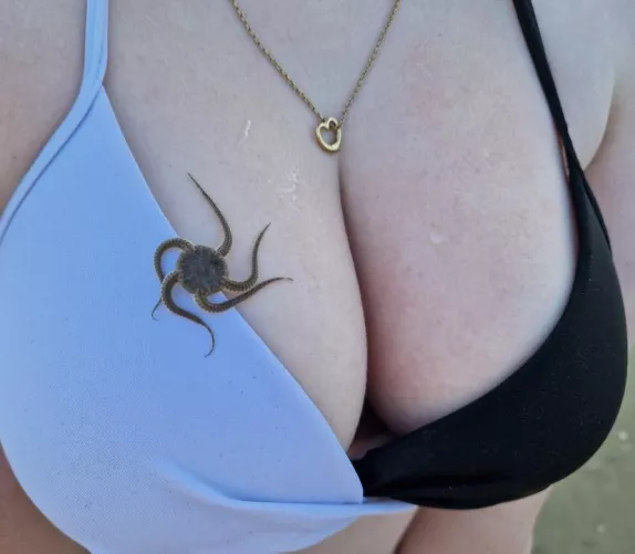 This little guy could not keep his hands off me 🍒 🐙