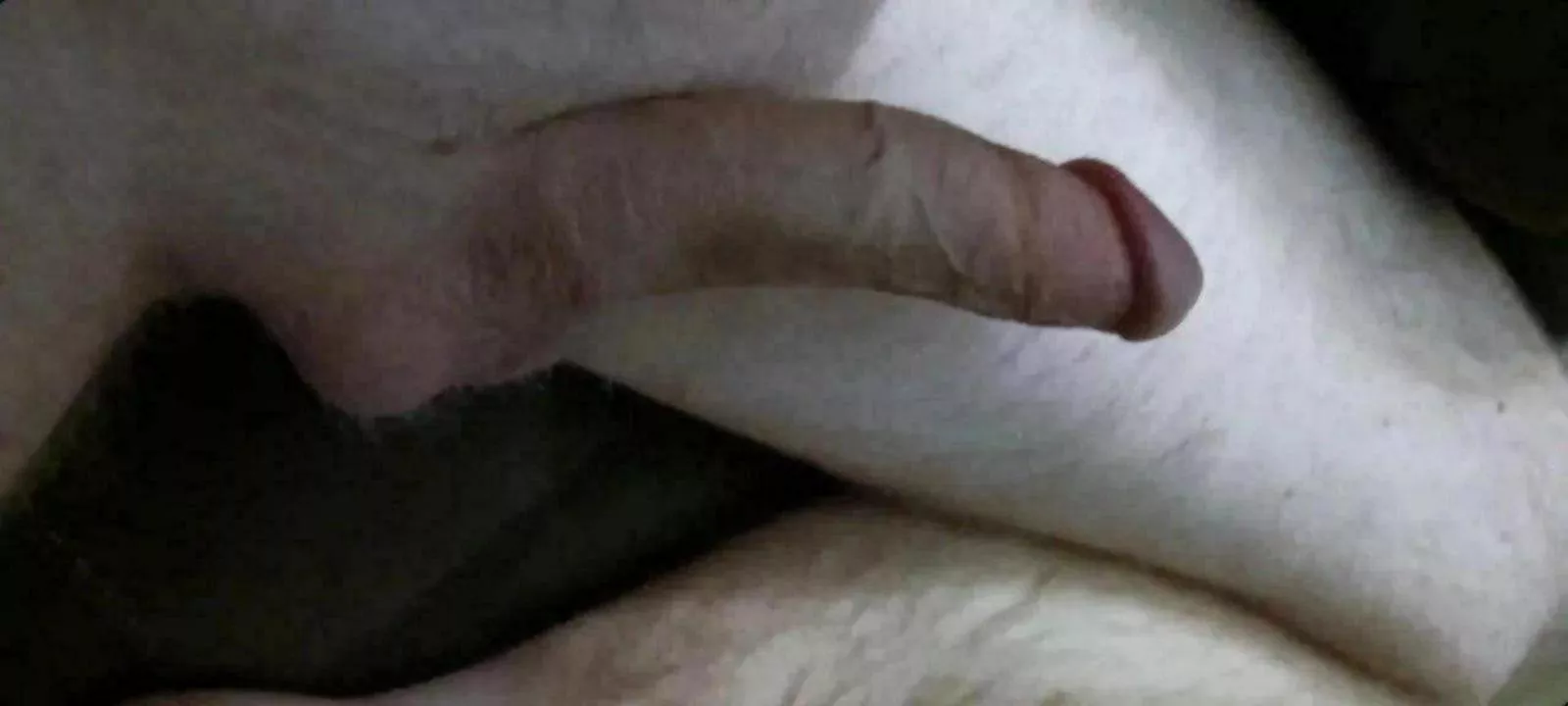 (46) see ginger daddy get into bed like this
