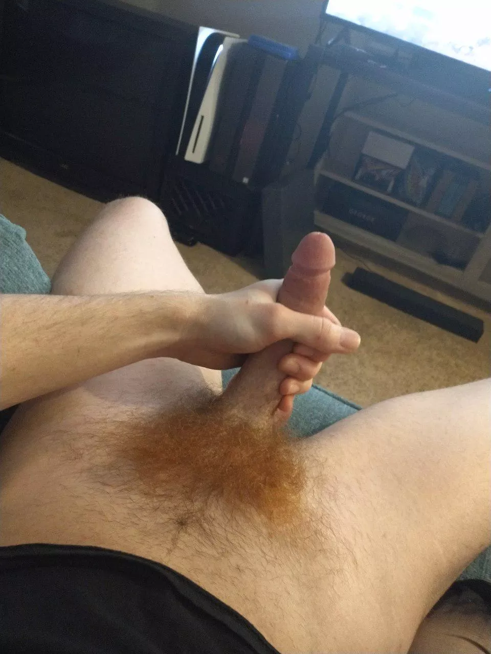 Bushy