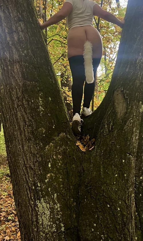 I love going on hikes with my tail in