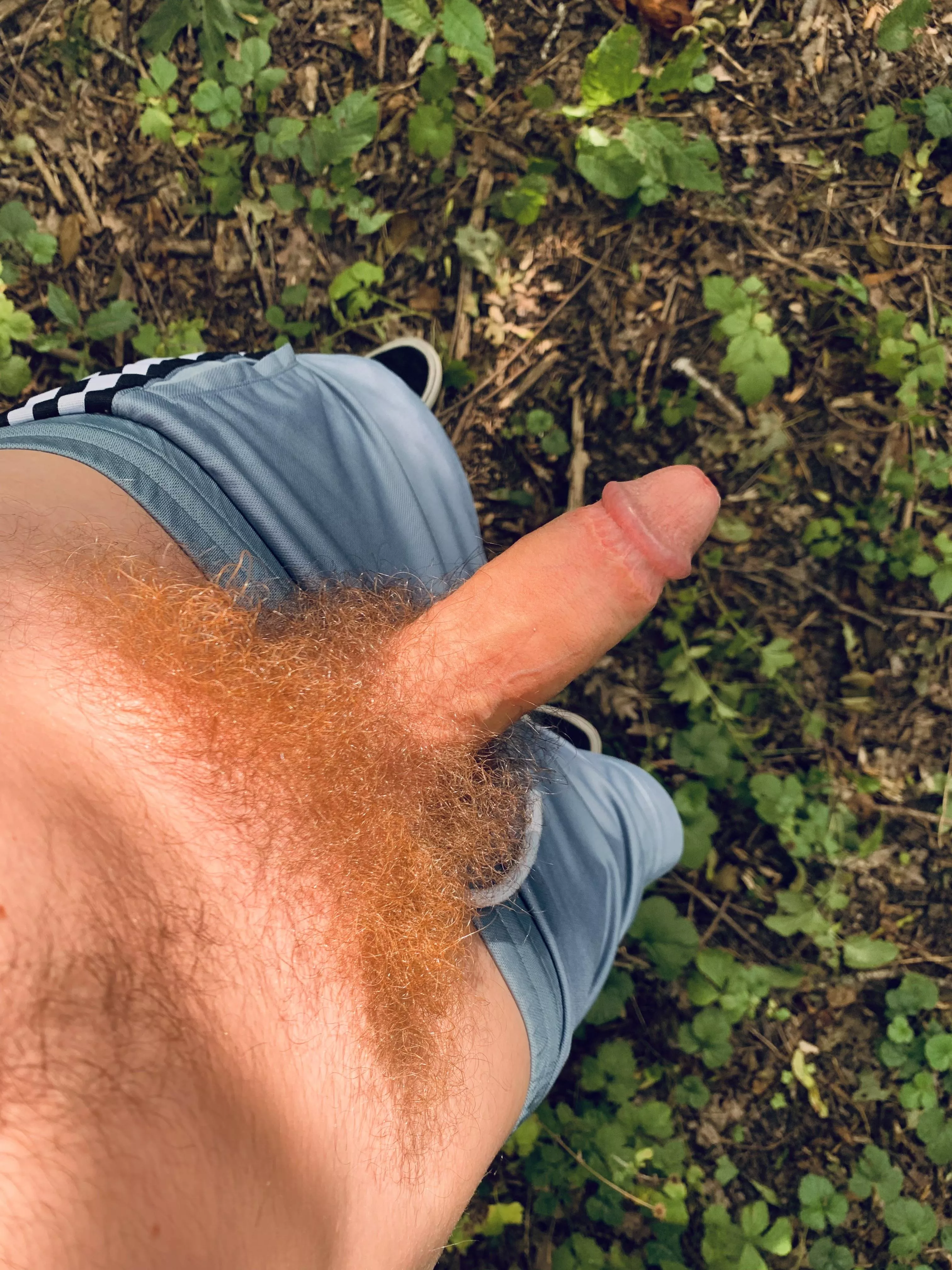 My pubic forest