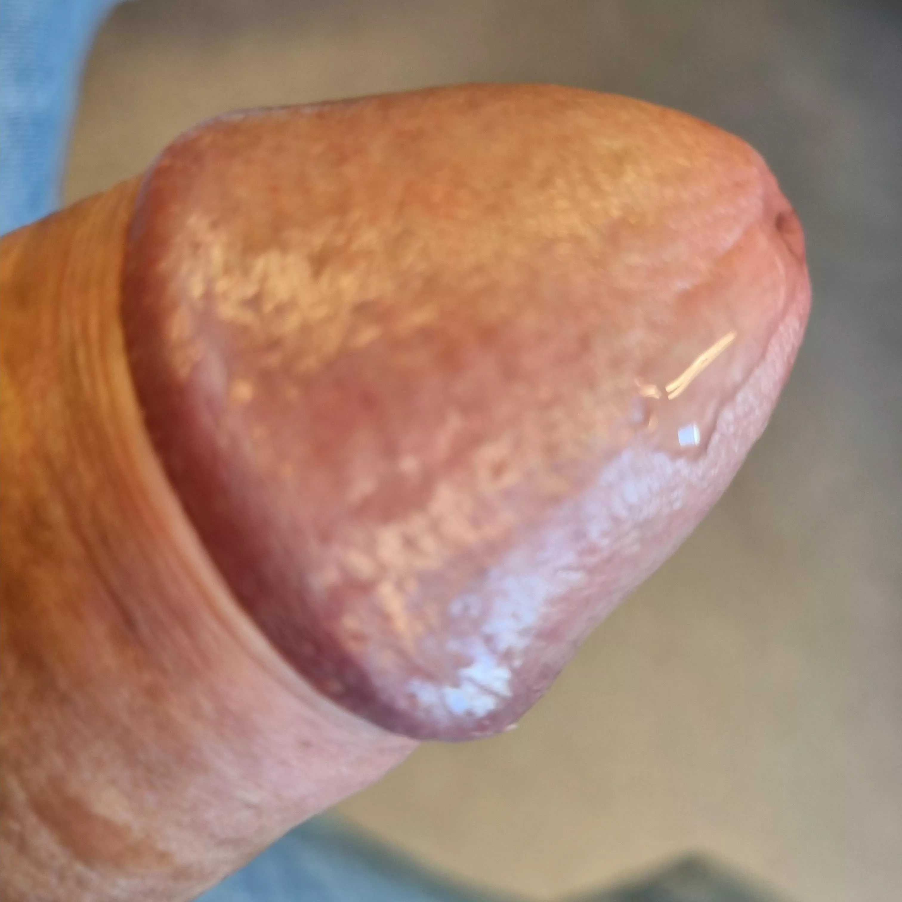 The first drop. Would you make it more, eventhough it's a (51) year old cock?