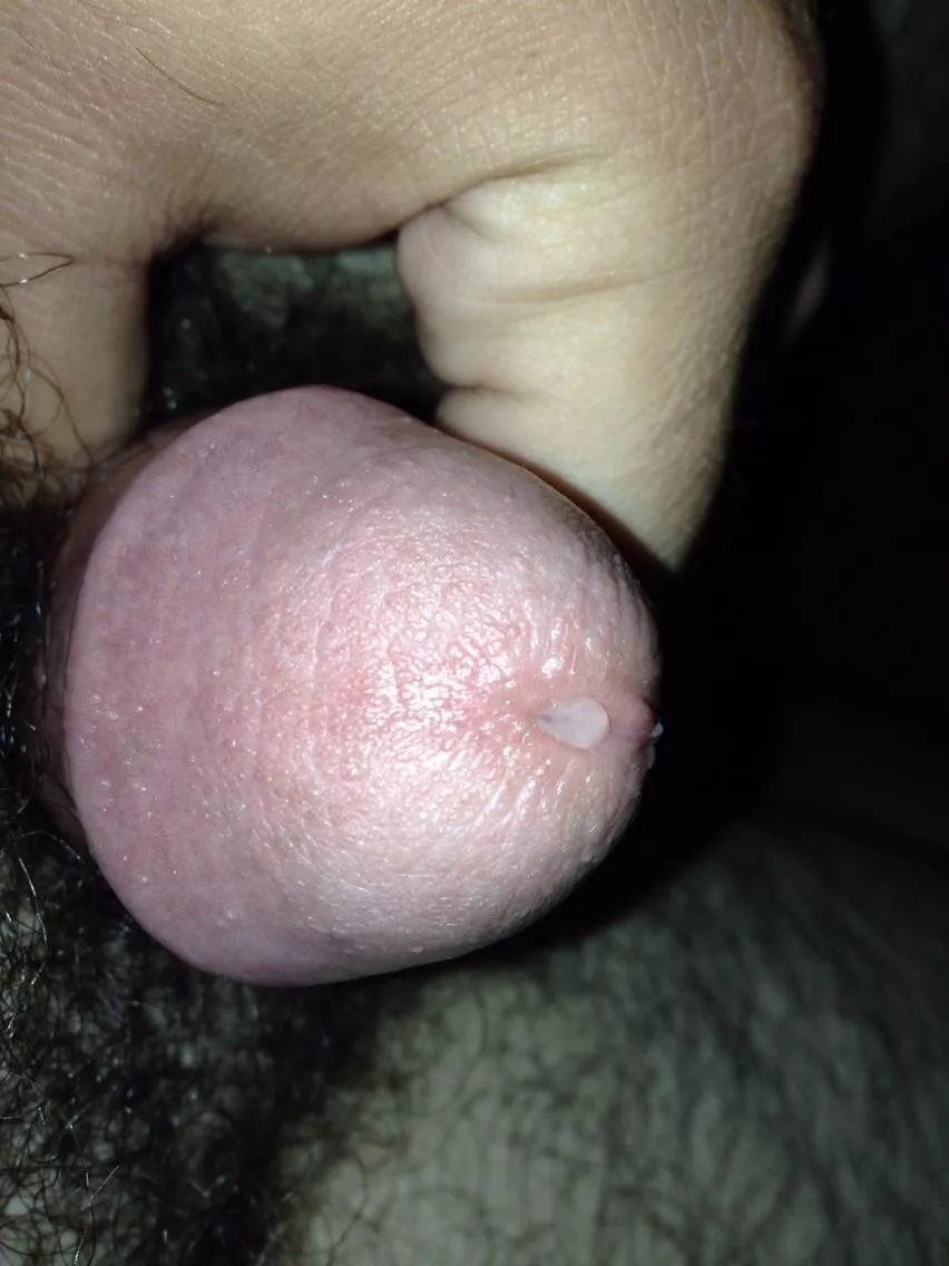 Who wants to see it grown?