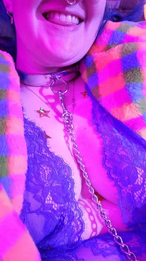 Collared, leashed, Gold stars, good girl