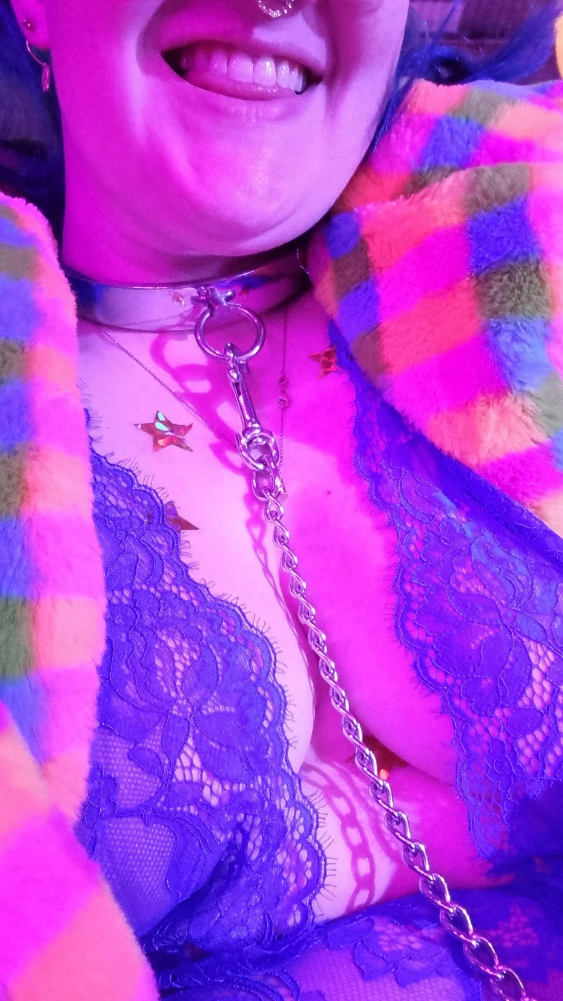 Collared, leashed, Gold stars, good girl