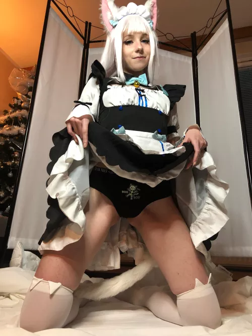 Do you like this kitty?