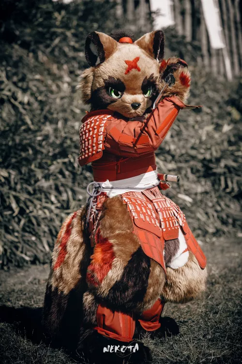 Fluffy samurai (@hinekota on Twitter)