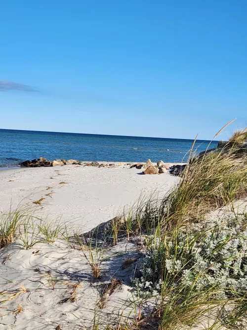 Good morning Cape Cod.