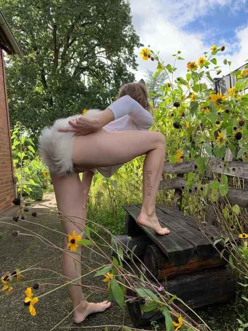 Hunting some flowers 🌻