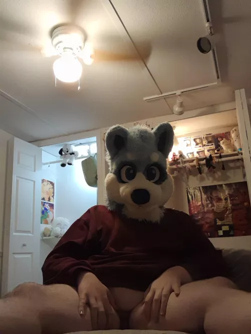 I'll be your good little pup for Halloween if you'll let me~ 🎃🐾