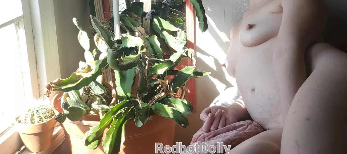 Lady and the Dragon(fruit)