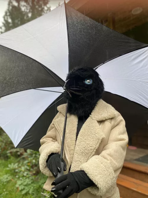 ~Me, the sweet creepy little Corvid~ (Photo by u/TheGalacticAngler)